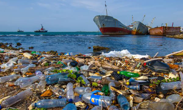 PLASTIC OCEAN To Indian Ocean – Read the Awe-Inspiring story of one Fe