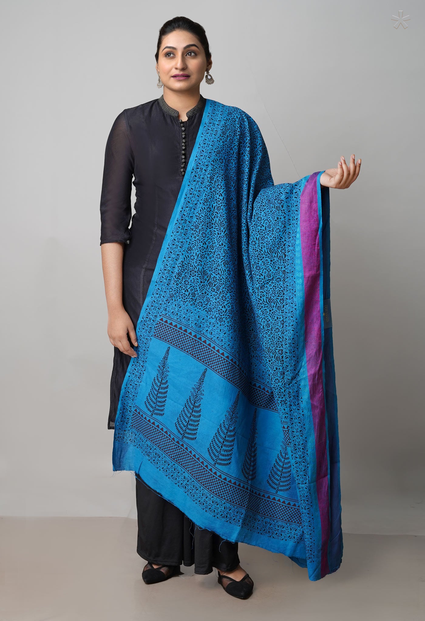 Blue Pure Bagh printed Cotton dupatta with Weaving Border–UDS4988