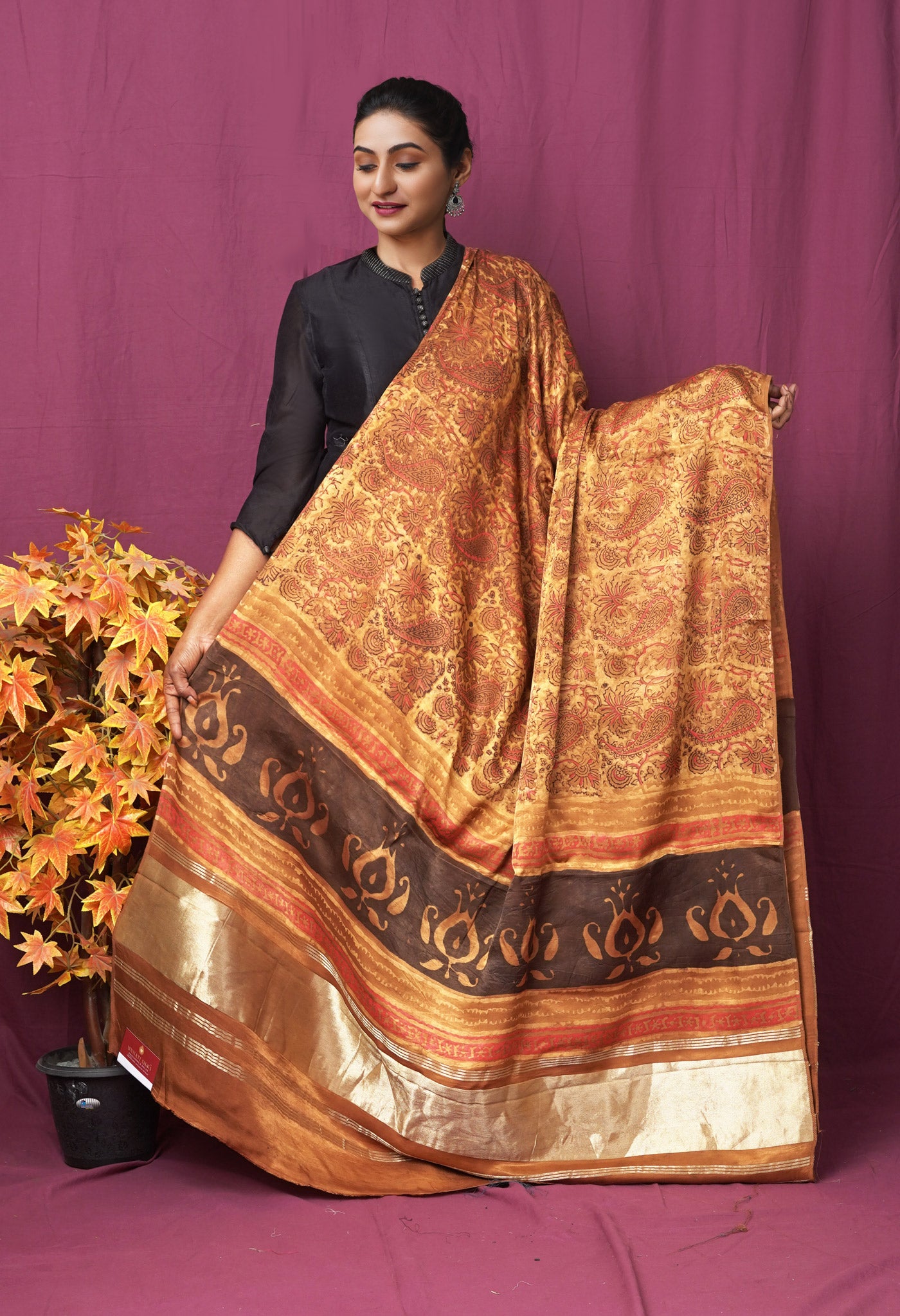 Brown Pure Vanaspathi Block Printed Gaji Silk Dupatta-UDS5899