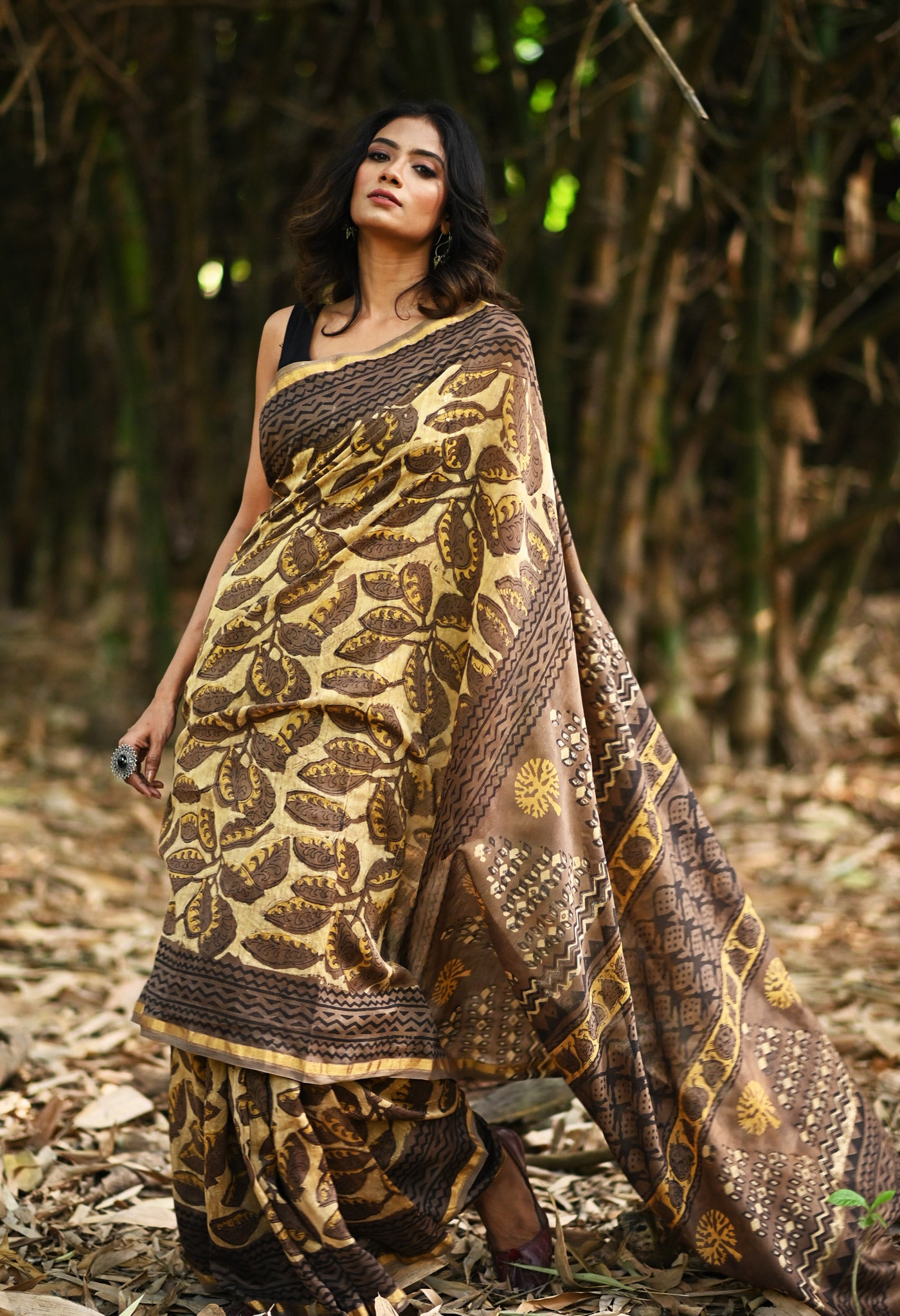 Brown Pure Vanaspathi Block Printed Chanderi Sico Saree-UNM81236