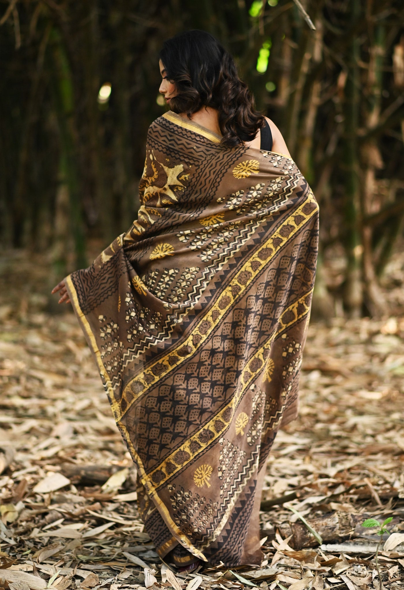 Brown Pure Vanaspathi Block Printed Chanderi Sico Saree-UNM81236